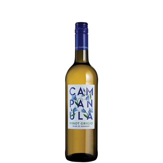 Campanula Pinot Grigio 2025
