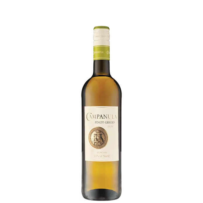 Campanula Pinot Grigio 2020