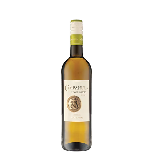 Campanula Pinot Grigio 2020
